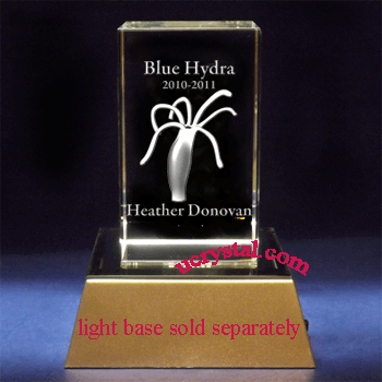 3D laser crystal awards, rectangular prism, medium